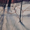 tab_0104