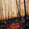 tab_0109
