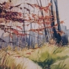 tab_0115