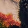 tab_0118