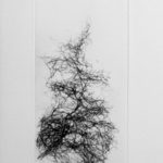 gravure pointe-sèche