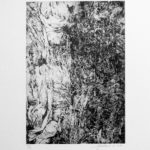 photogravure